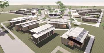 Currajong Evolution<br><br>